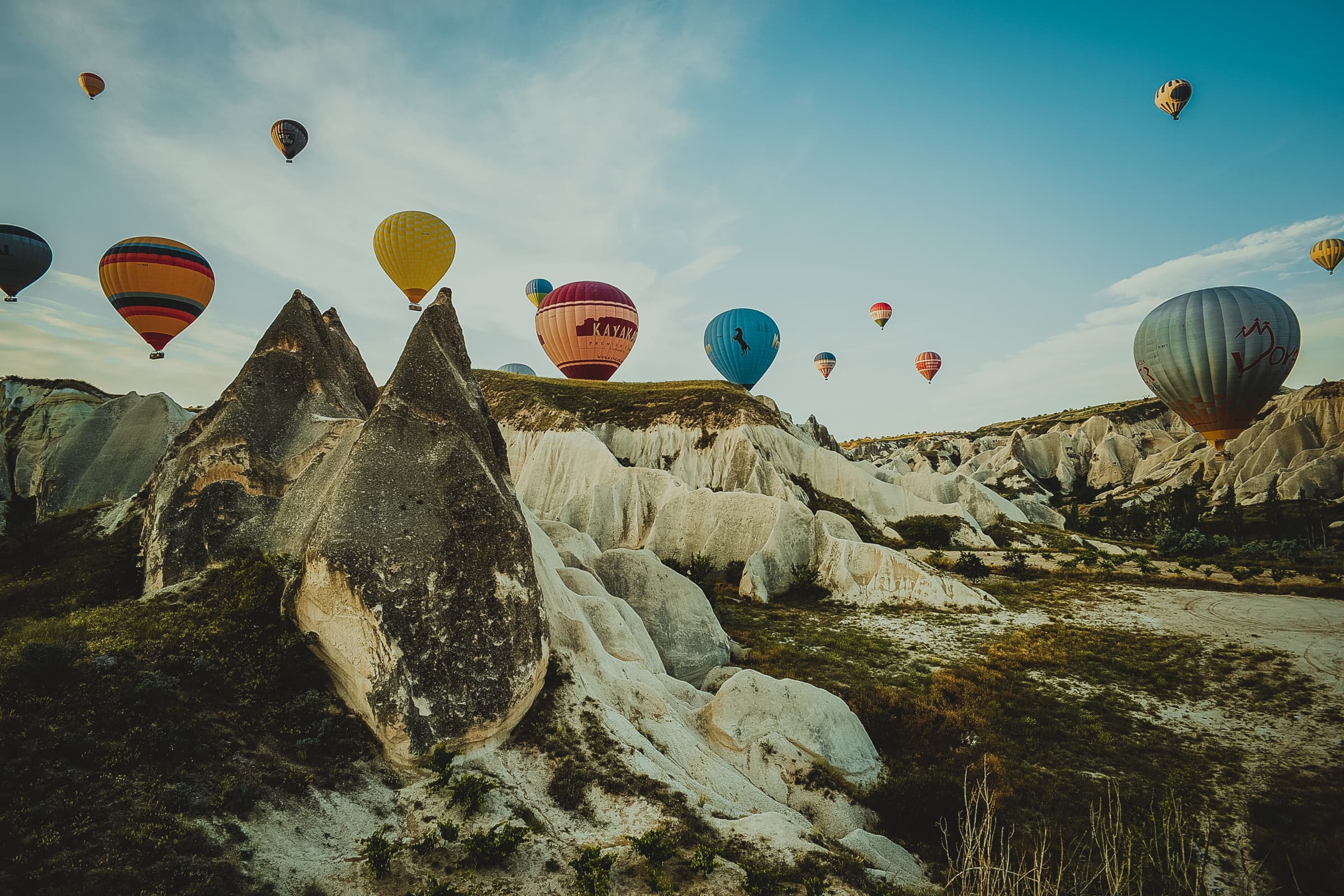 kenny luo 7QgWPFoEDqc unsplash