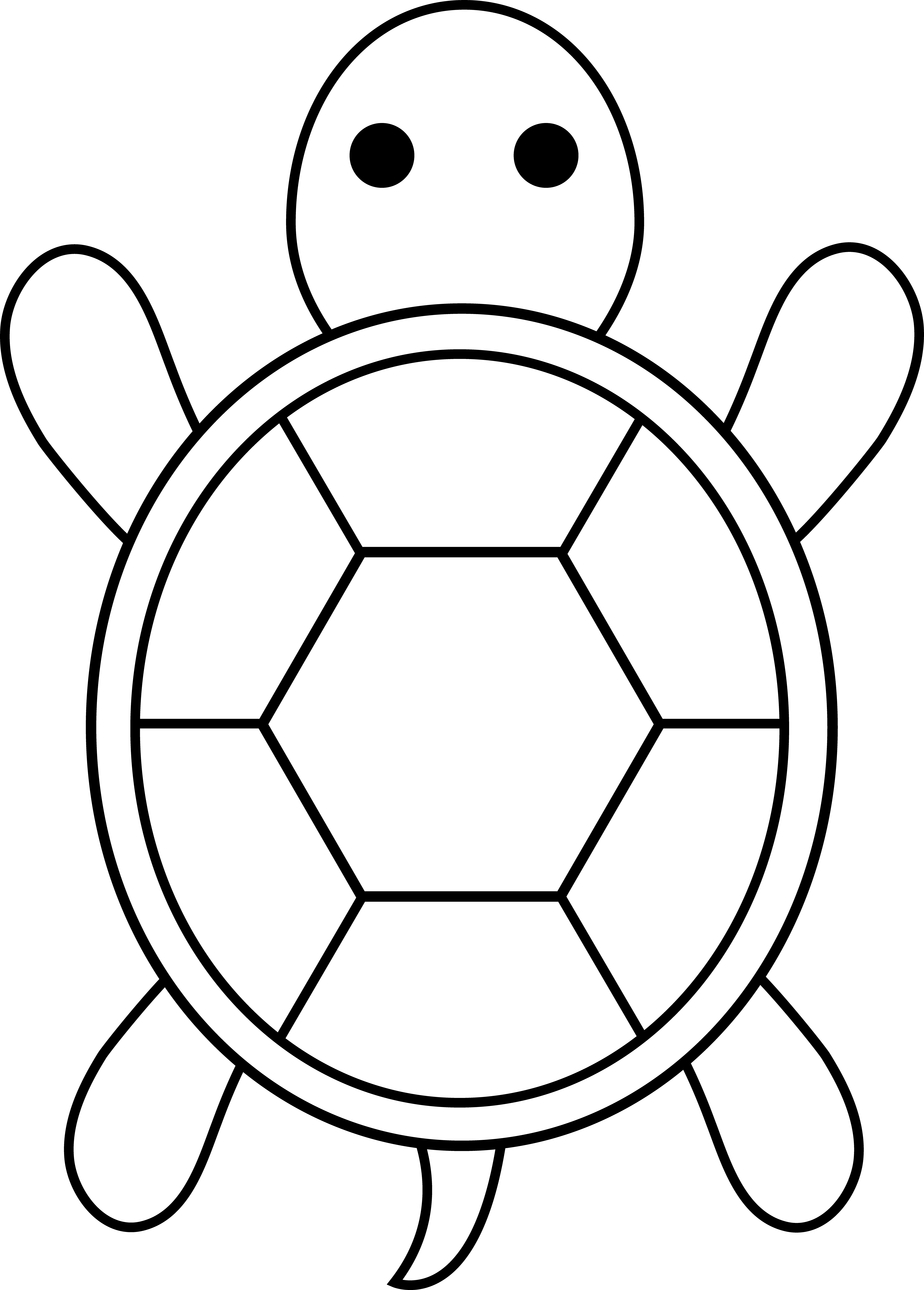 turtle2