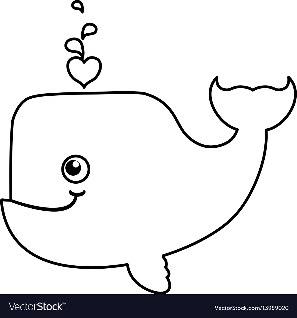 whale cartoon drawing animal vector 13989020