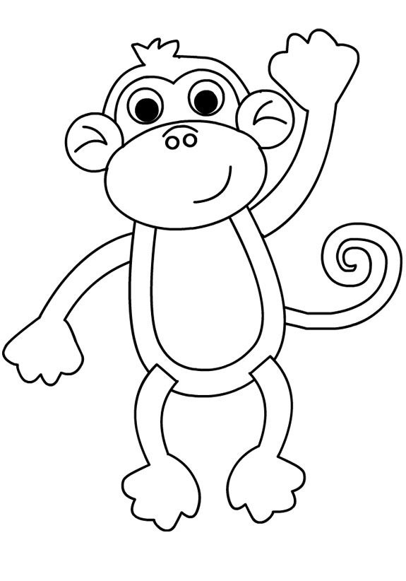 monkey