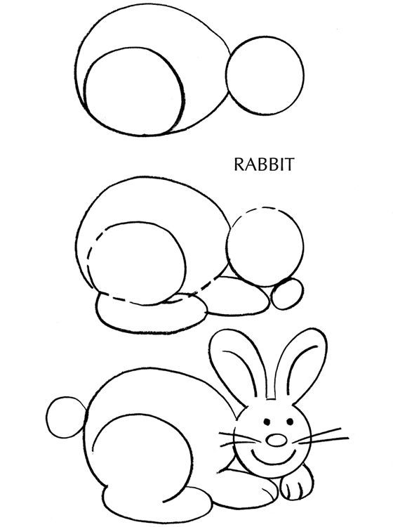 rabbit