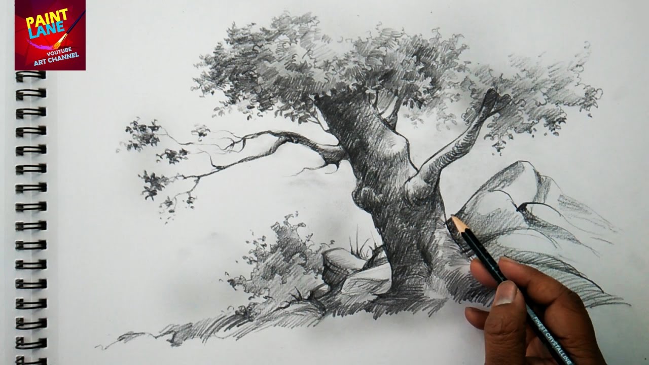 Basic Sketch and Shade A Tree With Pencil Pencil Art