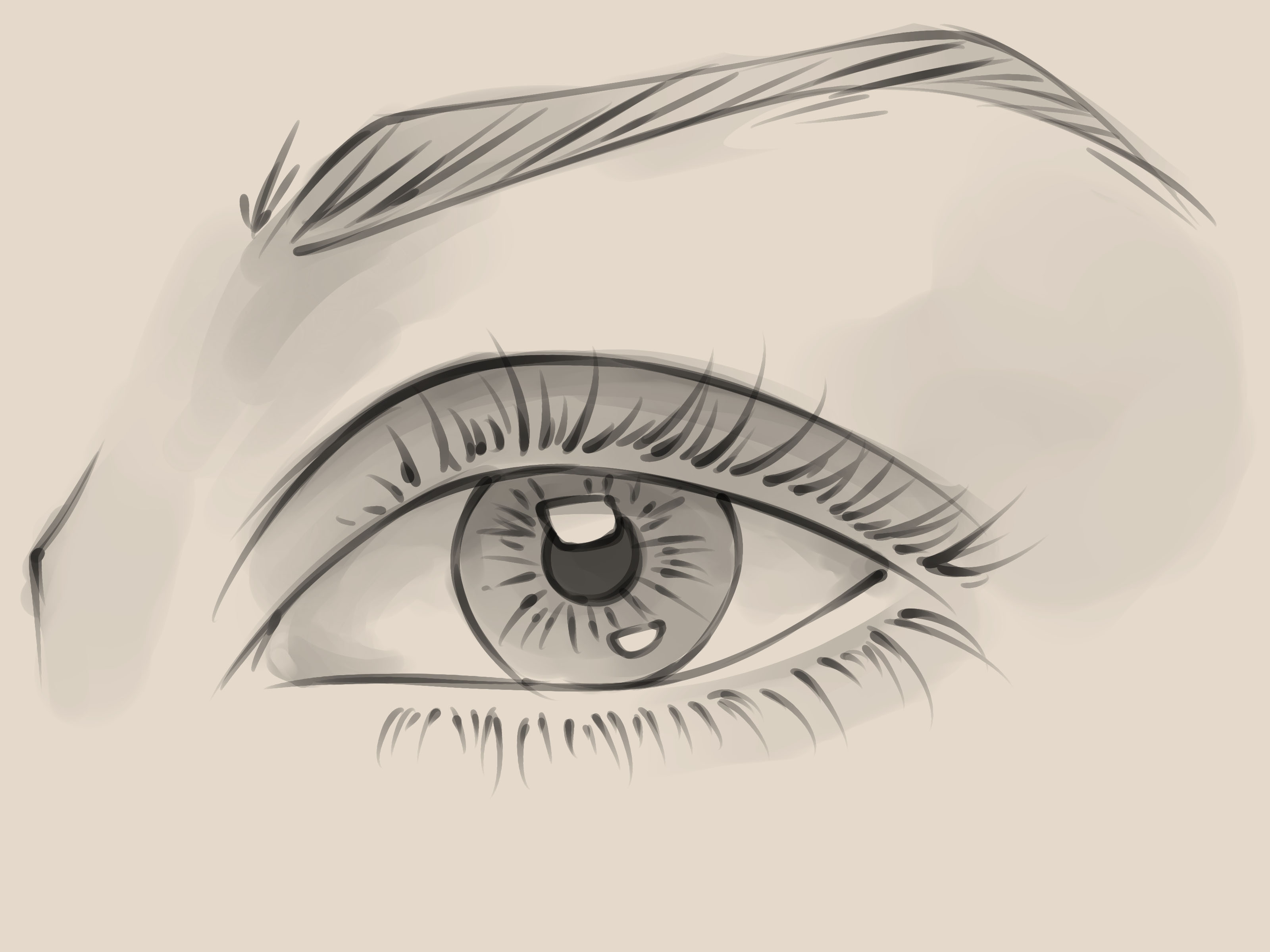 Draw a Realistic Female Eye Step 10 Version 2
