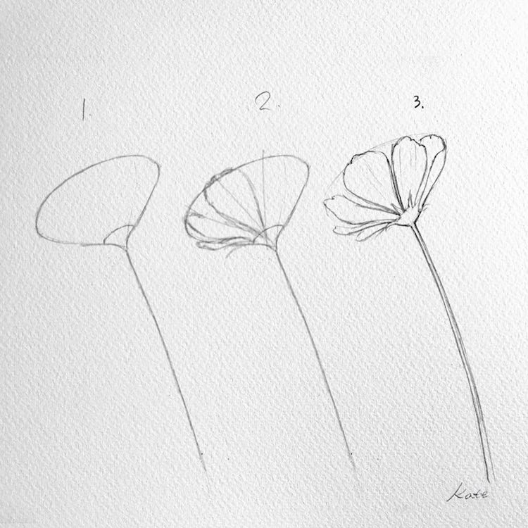 how to draw a flower kate kyehyun park 3