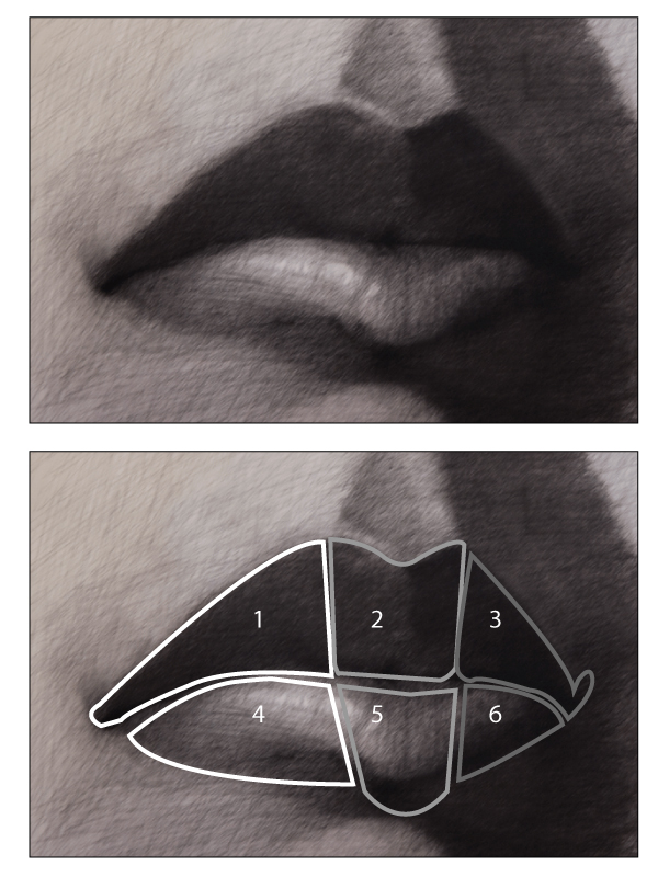 lipstructure5
