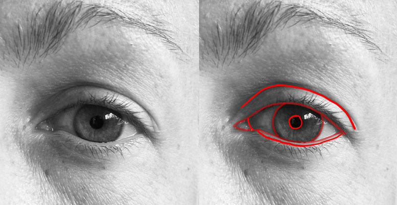 contour line drawing eye frontal