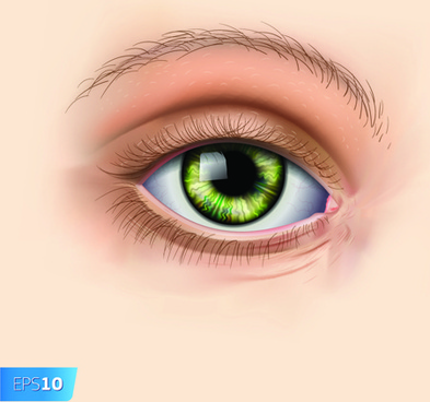 different eyes design vector 533233