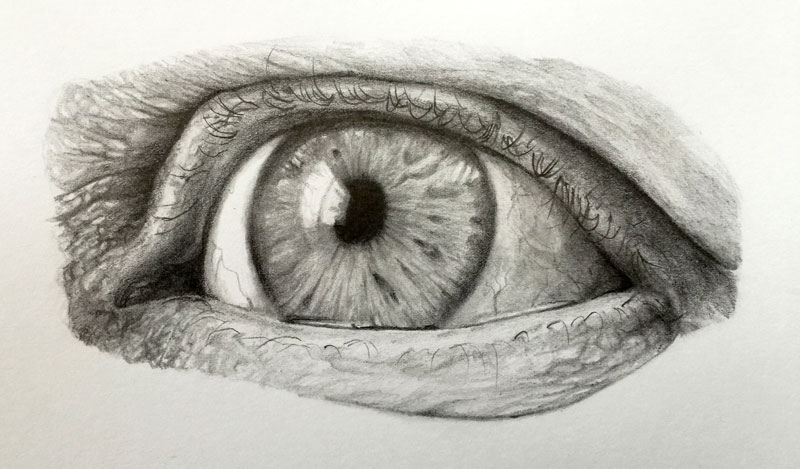 realisticpencildrawingpfaneye