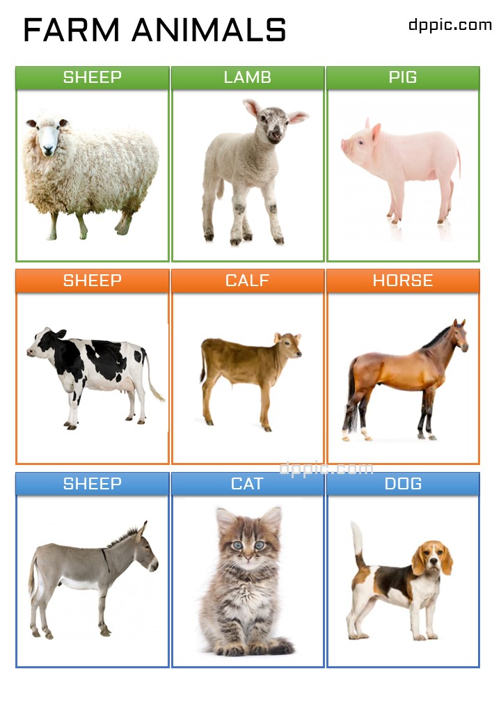 farm animals1