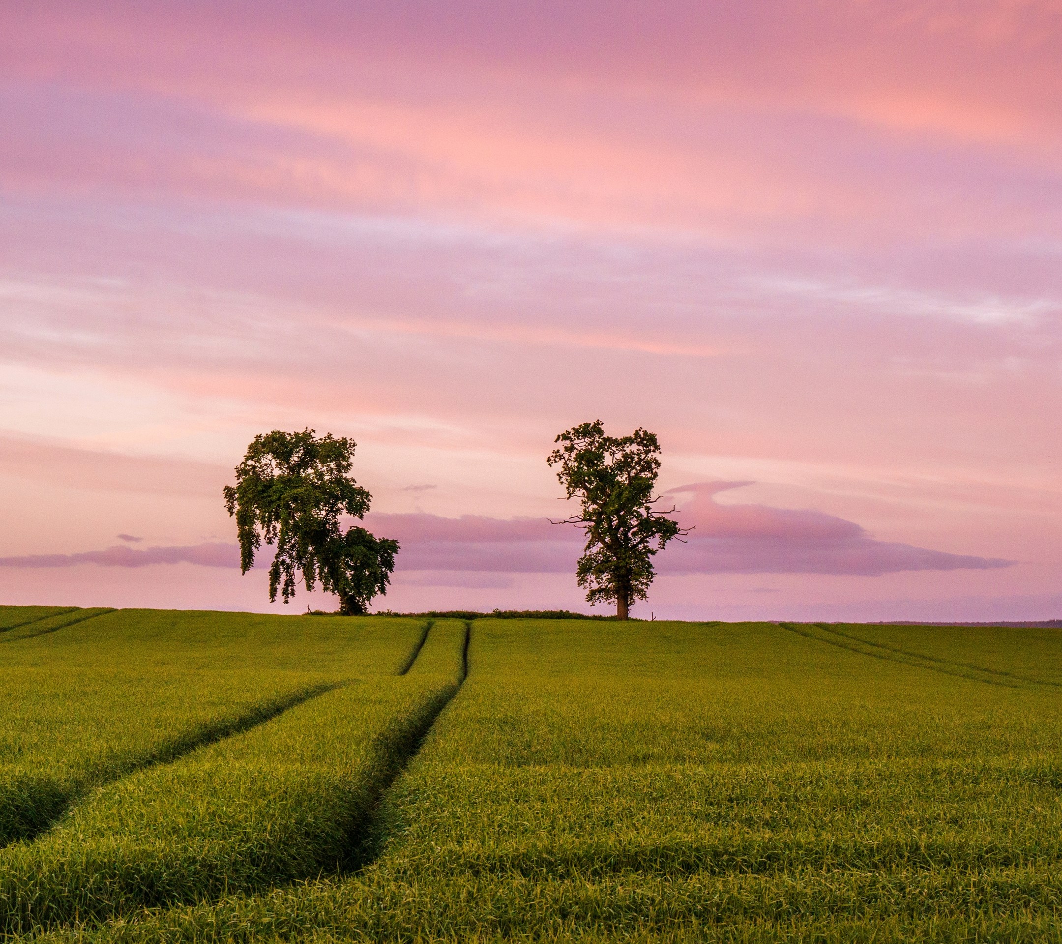 2160x1920 HD Wallpaper AppsApk 150