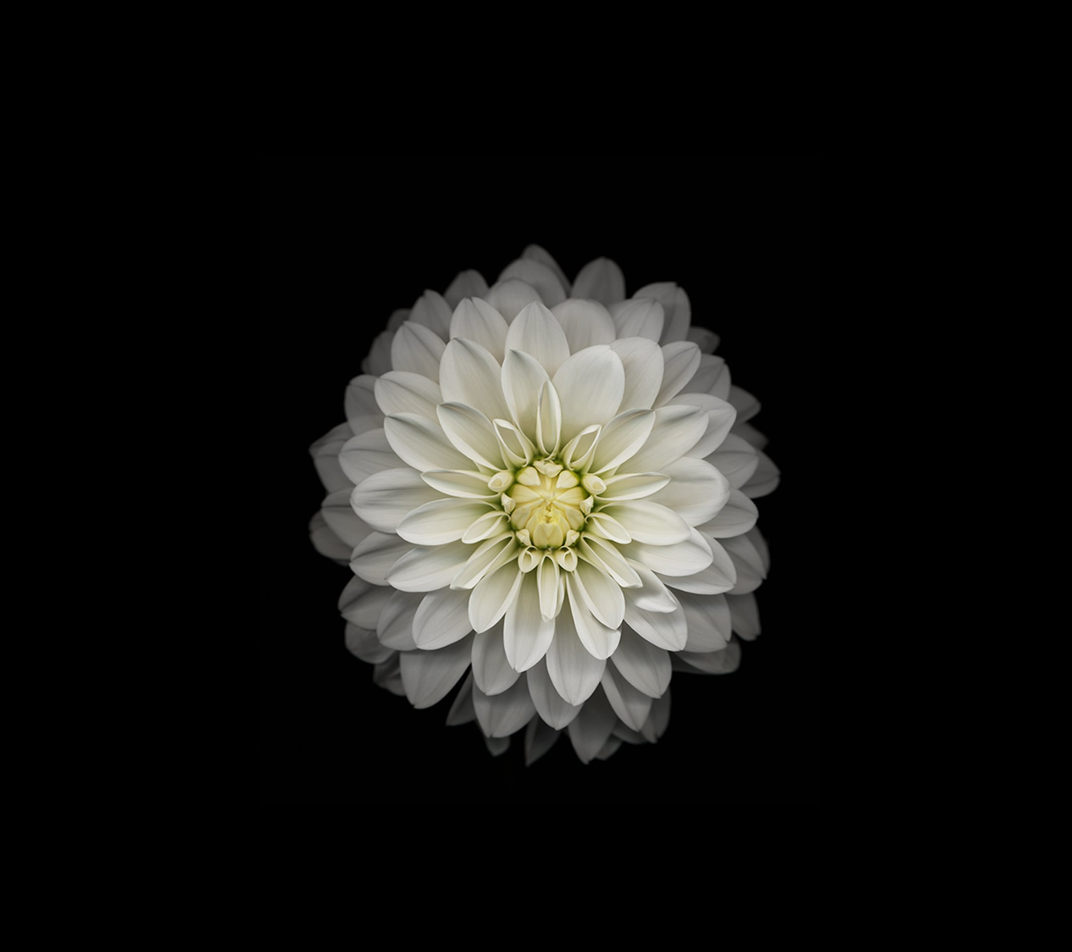 8be3914e56344d23c81dfed60ee32fa4