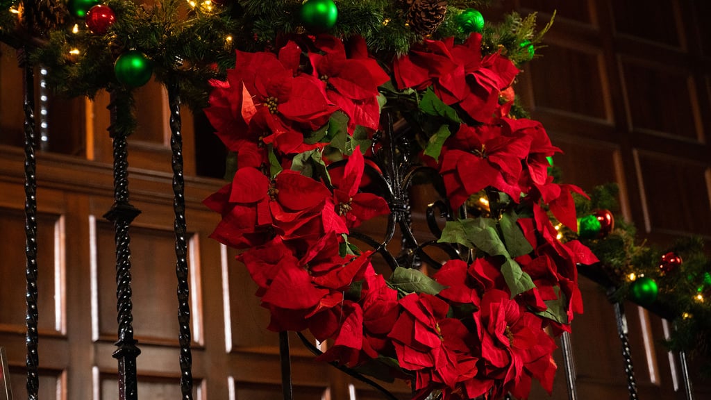 Poinsettia Wreath Zoom Background