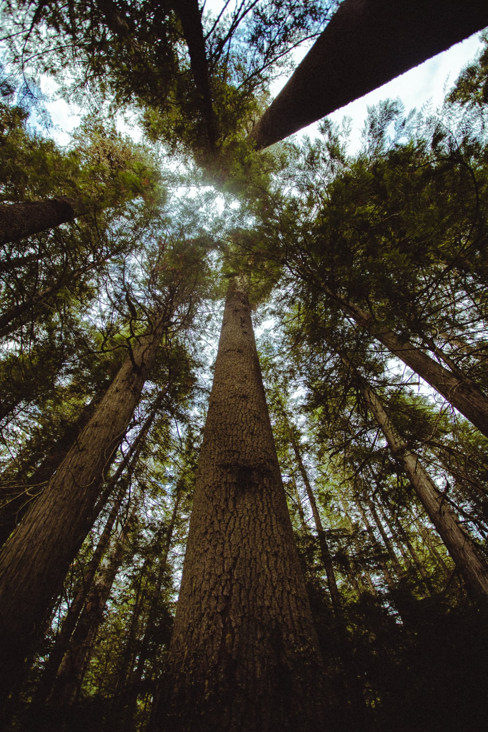 hanan tI9i8nQUwTk unsplash