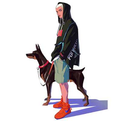 dppic attitude dp156 