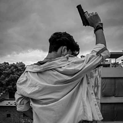 dppic attitude dp163 