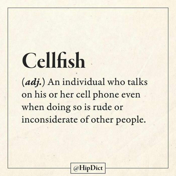 honest dictionary 2 1