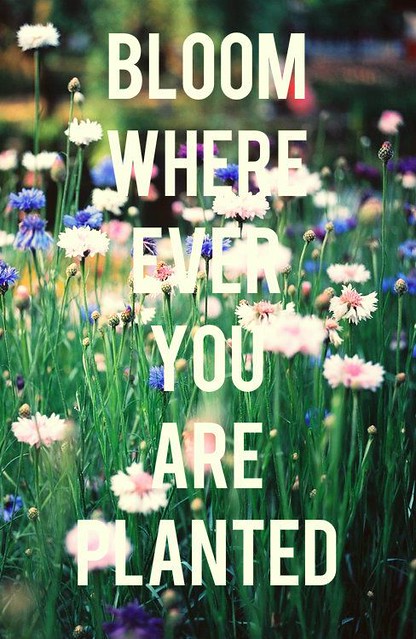 motivational quotes 2020 171632