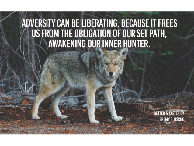 motivational quotes 2020 172281