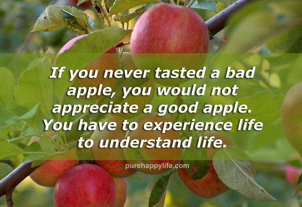 motivational quotes 2020 172311