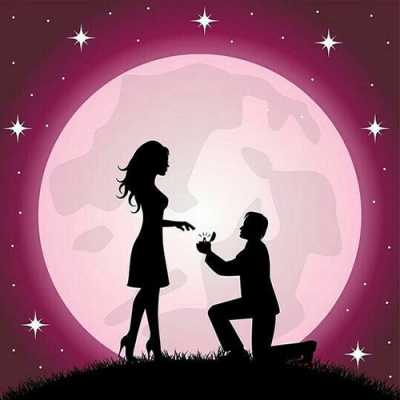 dppic romantic dp 14