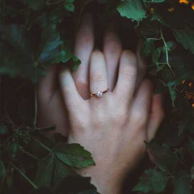 dppic romantic dp 19